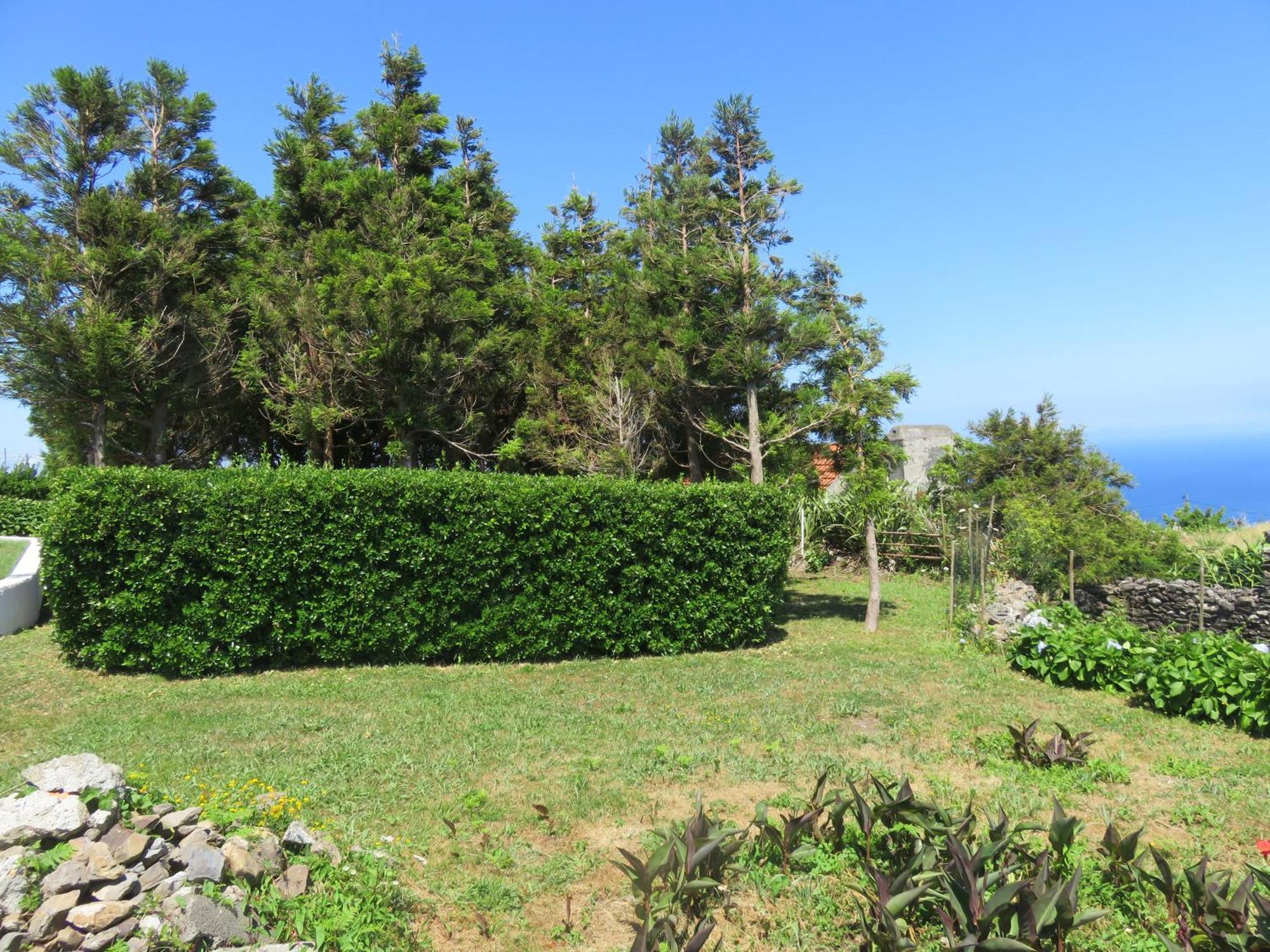 Villa Cedros Santa Cruz das Flores Luaran gambar